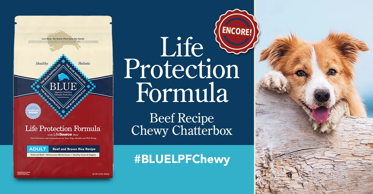 Cheap Blue Life Protection || Charming Pet || Cobalt Aquatics Store 19 Cheap Blue Life Protection || Charming Pet || Cobalt Aquatics Store -Cheap Blue Life Protection || Charming Pet || Cobalt Aquatics Store 1