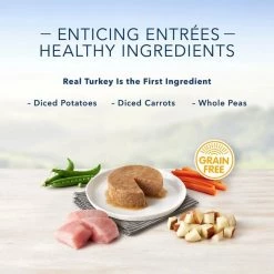 Blue Buffalo Divine Delights Roasted Turkey Flavor Pate Dog Food Trays 12 Blue Buffalo Divine Delights Roasted Turkey Flavor Pate Dog Food Trays -Cheap Blue Life Protection || Charming Pet || Cobalt Aquatics Store 114275 PT3. SY630 V1642639611