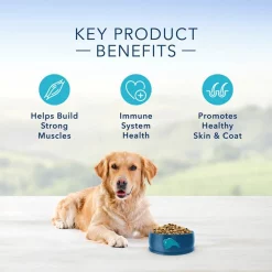 Blue Buffalo Life Protection Formula Adult Chicken & Brown Rice Recipe Dry Dog Food -Cheap Blue Life Protection || Charming Pet || Cobalt Aquatics Store 144073 PT4. SY630 V1636147308
