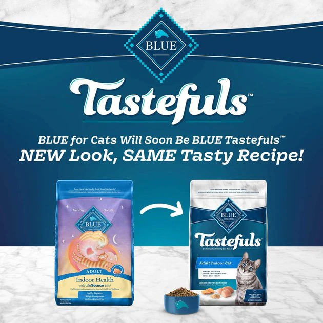 Blue Buffalo Healthy Living Chicken & Brown Rice Recipe Adult Dry Cat Food 2 Blue Buffalo Healthy Living Chicken & Brown Rice Recipe Adult Dry Cat Food - Image 2