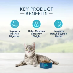 Blue Buffalo Healthy Living Chicken & Brown Rice Recipe Adult Dry Cat Food 13 Blue Buffalo Healthy Living Chicken & Brown Rice Recipe Adult Dry Cat Food -Cheap Blue Life Protection || Charming Pet || Cobalt Aquatics Store 144081 PT4. SY630 V1565903300