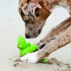 Charming Pet Balloon Squeaky Plush Dog Toy 5 Charming Pet Balloon Squeaky Plush Dog Toy -Cheap Blue Life Protection || Charming Pet || Cobalt Aquatics Store 155160 PT2. SY630 V1594671703