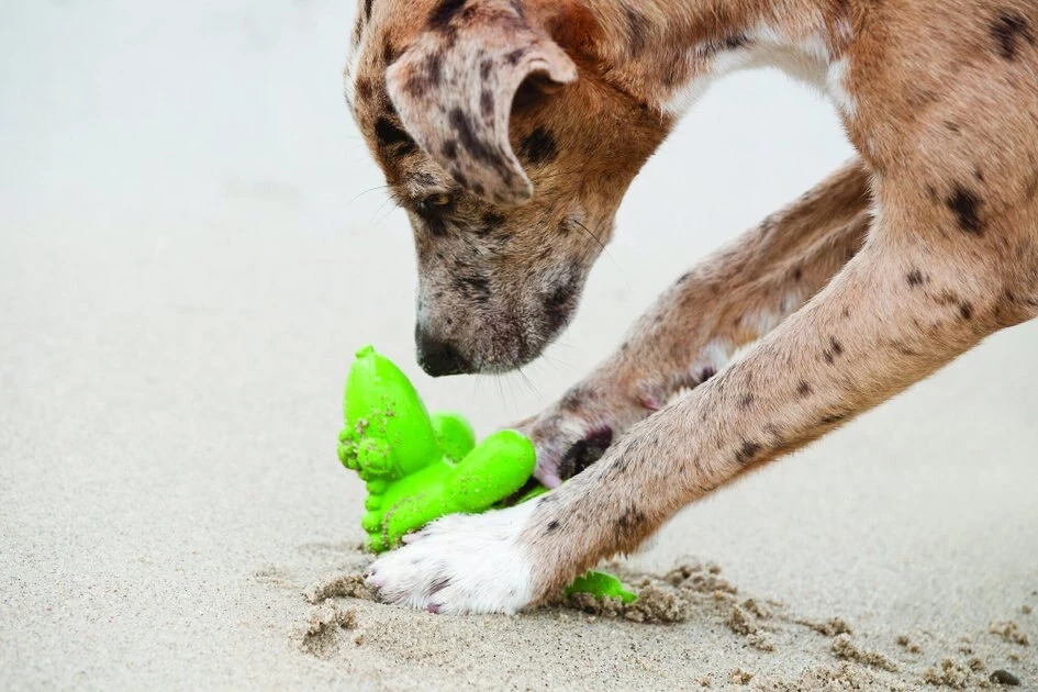 Charming Pet Balloon Squeaky Plush Dog Toy 3 Charming Pet Balloon Squeaky Plush Dog Toy - Image 3