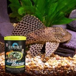 Cobalt Aquatics Algae Grazers Fish Food -Cheap Blue Life Protection || Charming Pet || Cobalt Aquatics Store 165374 PT6. SY630 V1615867311