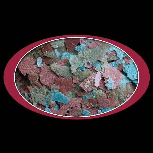Cobalt Aquatics Cichlid Flakes Fish Food 2 Cobalt Aquatics Cichlid Flakes Fish Food - Image 2