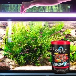 Cobalt Aquatics Color Flakes Fish Food -Cheap Blue Life Protection || Charming Pet || Cobalt Aquatics Store 165386 PT6. SY630 V1615871194