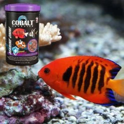 Cobalt Aquatics Marine Omni Flakes Fish Food -Cheap Blue Life Protection || Charming Pet || Cobalt Aquatics Store 165392 PT6. SY630 V1615866394
