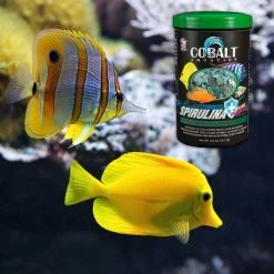 Cobalt Aquatics Spirulina Flakes Fish Food 11 Cobalt Aquatics Spirulina Flakes Fish Food -Cheap Blue Life Protection || Charming Pet || Cobalt Aquatics Store 165396 PT6. SY630 V1615873907