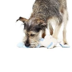 Charming Pet Pulleez Zebra Squeaky Plush Dog Toy 6 Charming Pet Pulleez Zebra Squeaky Plush Dog Toy -Cheap Blue Life Protection || Charming Pet || Cobalt Aquatics Store 173700 PT2. SY630 V1594670280