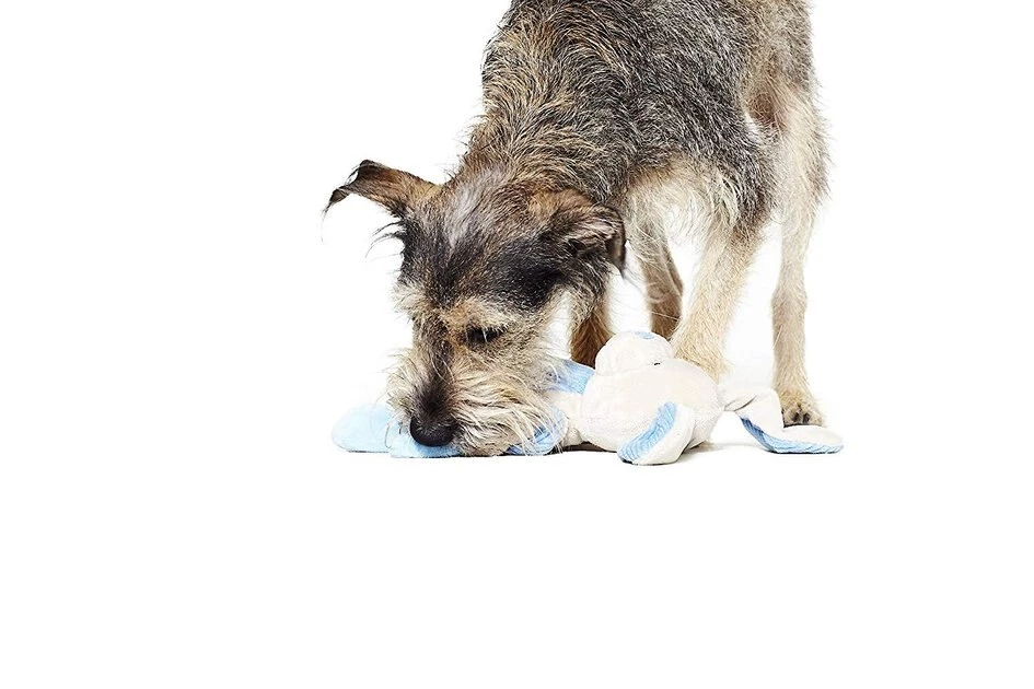 Charming Pet Pulleez Zebra Squeaky Plush Dog Toy 3 Charming Pet Pulleez Zebra Squeaky Plush Dog Toy - Image 3