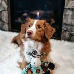 Charming Pet Pulleez Zebra Squeaky Plush Dog Toy 7 Charming Pet Pulleez Zebra Squeaky Plush Dog Toy -Cheap Blue Life Protection || Charming Pet || Cobalt Aquatics Store 173700 PT3. SY630 V1557855825