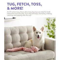 Charming Pet Longidudes Rabbit Squeaky Plush Dog Toy -Cheap Blue Life Protection || Charming Pet || Cobalt Aquatics Store 173702 PT3. SY630 V1639694202