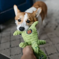 Charming Pet Squeakin' Squiggles Gator Squeaky Plush Dog Toy 7 Charming Pet Squeakin' Squiggles Gator Squeaky Plush Dog Toy -Cheap Blue Life Protection || Charming Pet || Cobalt Aquatics Store 190528 PT3. SY630 V1594673214