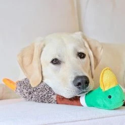 Charming Pet Headbangerz Chicken Squeaky Plush Dog Toy 9 Charming Pet Headbangerz Chicken Squeaky Plush Dog Toy -Cheap Blue Life Protection || Charming Pet || Cobalt Aquatics Store 190537 PT2. SY630 V1594670847