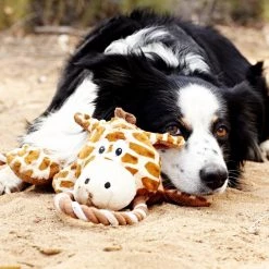 Charming Pet Scrunch Bunch Duck Squeaky Plush Dog Toy -Cheap Blue Life Protection || Charming Pet || Cobalt Aquatics Store 190551 PT2. SY630 V1594670215