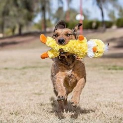 Charming Pet Lil Dudes Chick Squeaky Plush Dog Toy 5 Charming Pet Lil Dudes Chick Squeaky Plush Dog Toy -Cheap Blue Life Protection || Charming Pet || Cobalt Aquatics Store 190556 PT2. SY630 V1594670269