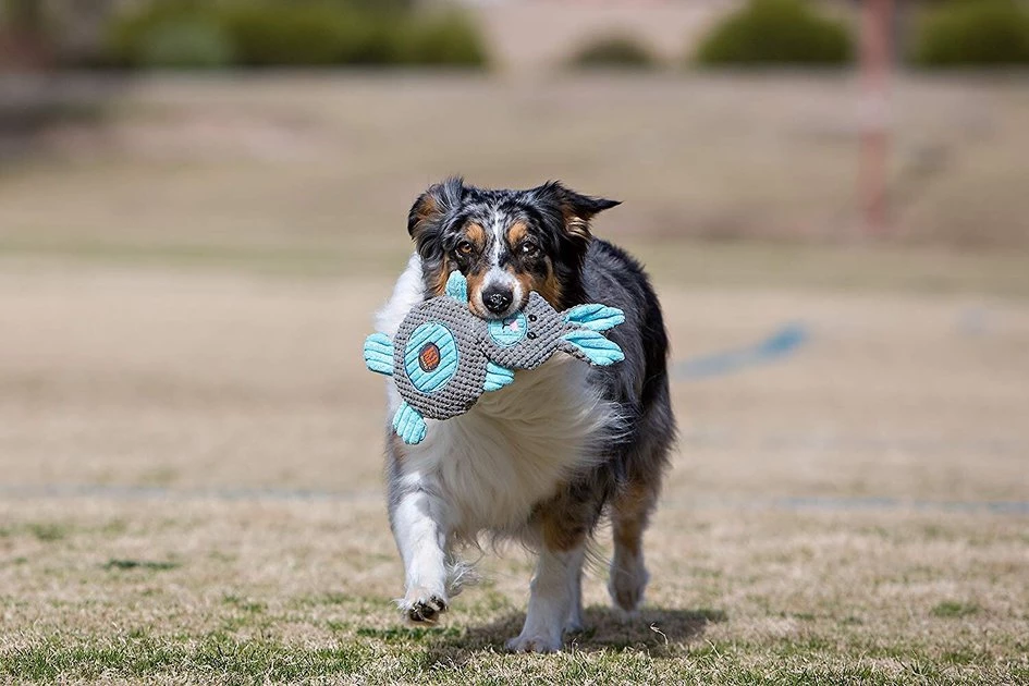 Charming Pet Animates Bunny Squeaky Plush Dog Toy 3 Charming Pet Animates Bunny Squeaky Plush Dog Toy - Image 3