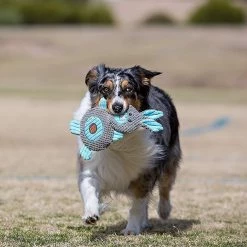 Charming Pet Animates Lamb Squeaky Plush Dog Toy 5 Charming Pet Animates Lamb Squeaky Plush Dog Toy -Cheap Blue Life Protection || Charming Pet || Cobalt Aquatics Store 190561 PT2. SY630 V1594670270