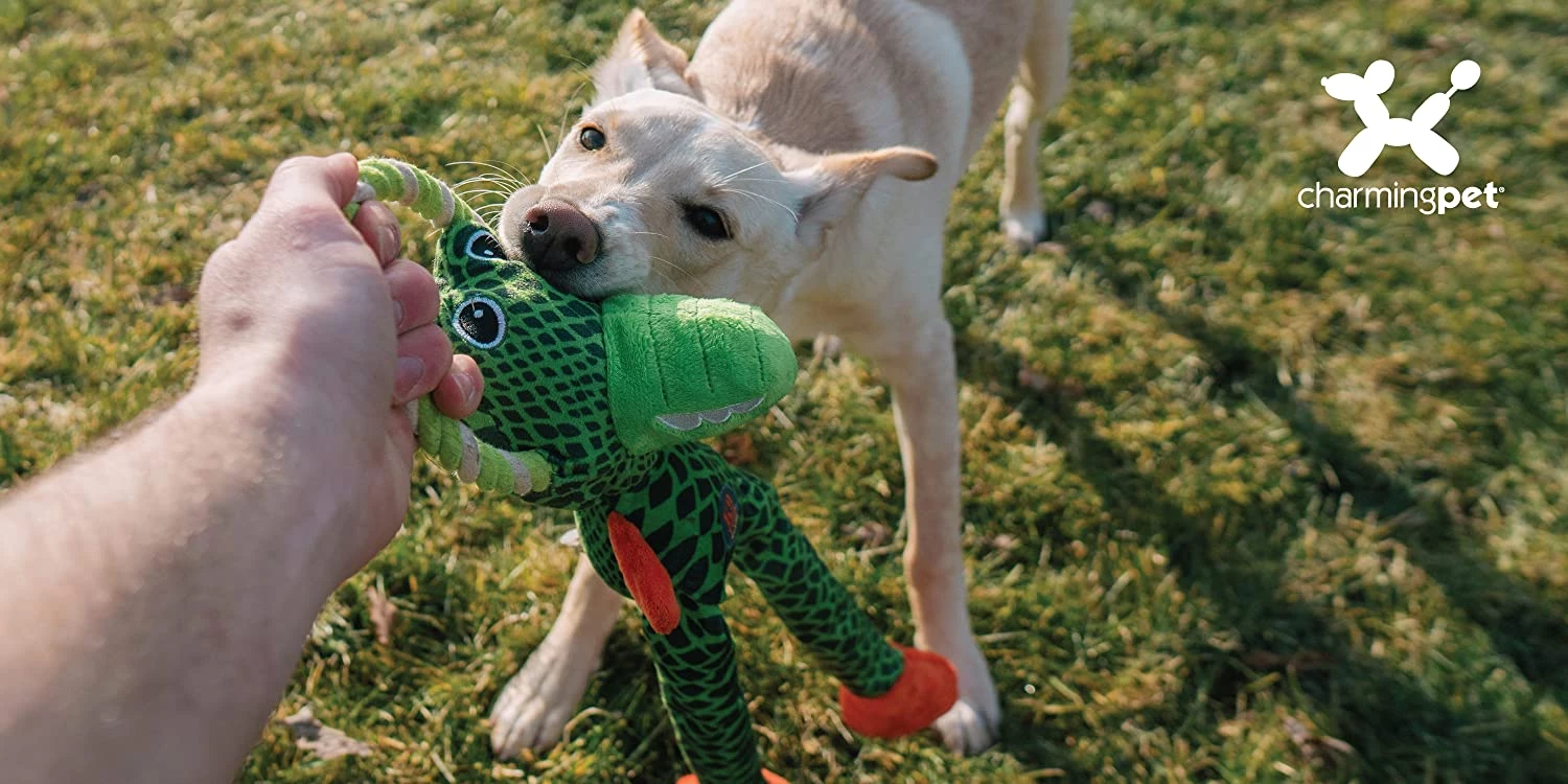 Cheap Blue Life Protection || Charming Pet || Cobalt Aquatics Store 2 Cheap Blue Life Protection || Charming Pet || Cobalt Aquatics Store -Cheap Blue Life Protection || Charming Pet || Cobalt Aquatics Store 2