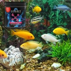 Cobalt Aquatics Super Pellet Aquarium Carbon, 44-oz tub 9 Cobalt Aquatics Super Pellet Aquarium Carbon, 44-oz tub -Cheap Blue Life Protection || Charming Pet || Cobalt Aquatics Store 238446 PT4. SY630 V1615933909