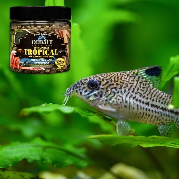 Cobalt Aquatics Ultra Tropical Micro Grazers Sinking Fish Food 2 Cobalt Aquatics Ultra Tropical Micro Grazers Sinking Fish Food - Image 2