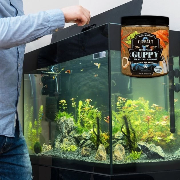 Cobalt Aquatics Ultra Guppy Nano Bits Floating Fish Food 2 Cobalt Aquatics Ultra Guppy Nano Bits Floating Fish Food - Image 2