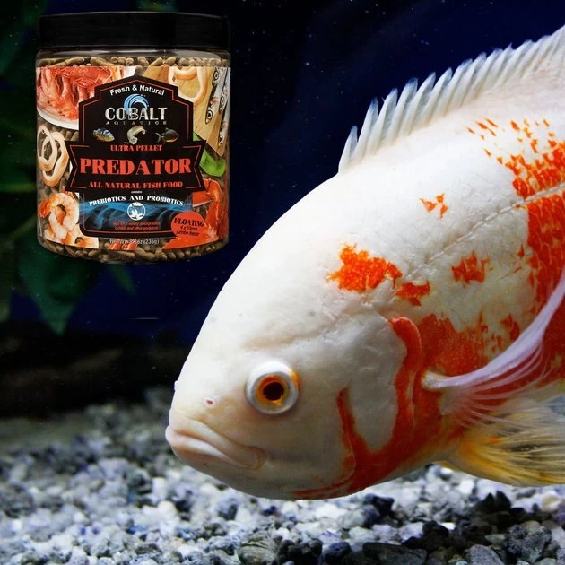 Cobalt Aquatics Ultra Predator Jumbo Feeder Floating Fish Food 2 Cobalt Aquatics Ultra Predator Jumbo Feeder Floating Fish Food - Image 2