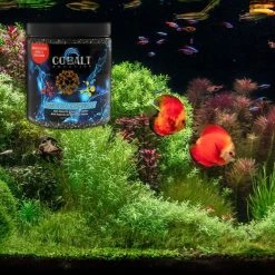 Cobalt Aquatics Complete Freshwater Aquarium Granulated Carbon 9 Cobalt Aquatics Complete Freshwater Aquarium Granulated Carbon -Cheap Blue Life Protection || Charming Pet || Cobalt Aquatics Store 243200 PT4. SY630 V1615935390