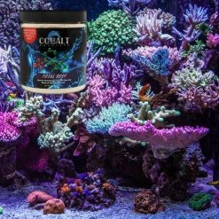 Cobalt Aquatics Total Reef Superior Rechargeable Pollutant Removing Marine Aquarium Resins -Cheap Blue Life Protection || Charming Pet || Cobalt Aquatics Store 243211 PT4. SY630 V1615933338