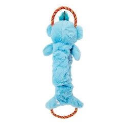 Charming Pet Crunch N Scrunch Koala Plush Dog Toy, Blue, Large -Cheap Blue Life Protection || Charming Pet || Cobalt Aquatics Store 280220 PT8. SY630 V1618961816