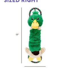 Charming Pet Crunch N Scrunch Mallard Plush Dog Toy, Green, Large -Cheap Blue Life Protection || Charming Pet || Cobalt Aquatics Store 280222 PT7. SY630 V1618932997