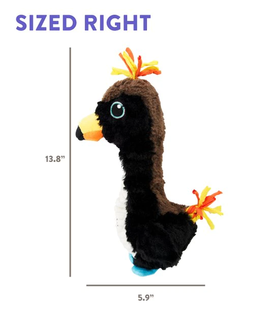 Charming Pet Absurd Burds Toucan Plush Dog Toy, Black, Medium 7 Charming Pet Absurd Burds Toucan Plush Dog Toy, Black, Medium - Image 7