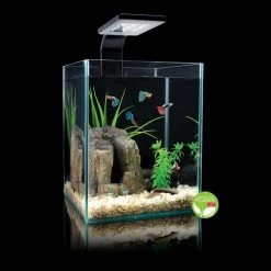 Cobalt Aquatics Microvue 10 Aquarium Kit 10, 2.6-gal -Cheap Blue Life Protection || Charming Pet || Cobalt Aquatics Store 299922 PT5. SY630 V1625263979