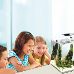 Cobalt Aquatics Microvue 20 Aquarium Kit 20, 5.3-gal -Cheap Blue Life Protection || Charming Pet || Cobalt Aquatics Store 299924 PT3. SY630 V1625260980