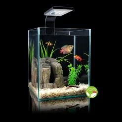 Cobalt Aquatics Microvue 20 Aquarium Kit 20, 5.3-gal -Cheap Blue Life Protection || Charming Pet || Cobalt Aquatics Store 299924 PT5. SY630 V1625263086