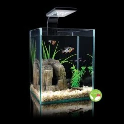 Cobalt Aquatics Microvue 30 Aquarium Kit 30, 8-gal -Cheap Blue Life Protection || Charming Pet || Cobalt Aquatics Store 299926 PT5. SY630 V1625263089