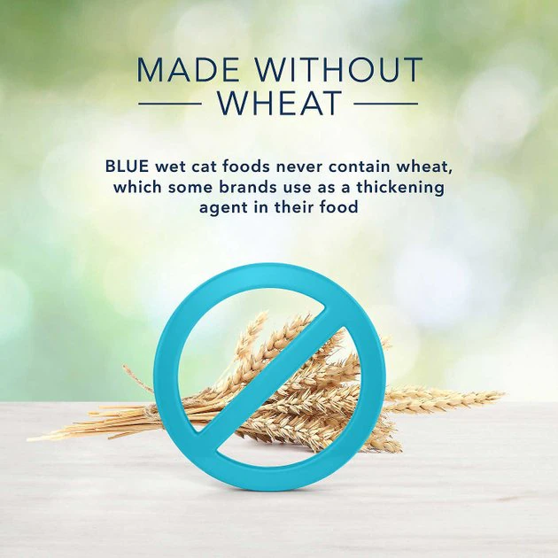 Blue Buffalo Indoor Hairball Control Chicken & Brown Rice Recipe Dry Food + Freedom Indoor Mature Chicken Recipe Canned Cat Food 9 Blue Buffalo Indoor Hairball Control Chicken & Brown Rice Recipe Dry Food + Freedom Indoor Mature Chicken Recipe Canned Cat Food - Image 9