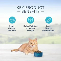 Blue Buffalo Healthy Aging Chicken & Brown Rice Recipe + Indoor Hairball & Weight Control Chicken & Brown Rice Recipe Dry Cat Food 17 Blue Buffalo Healthy Aging Chicken & Brown Rice Recipe + Indoor Hairball & Weight Control Chicken & Brown Rice Recipe Dry Cat Food -Cheap Blue Life Protection || Charming Pet || Cobalt Aquatics Store 338661 PT8. SY630 V1635901114