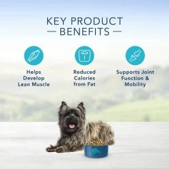 Blue Buffalo Life Protection Formula Small Breed Healthy Weight Adult Chicken & Brown Rice Recipe Dry Dog Food -Cheap Blue Life Protection || Charming Pet || Cobalt Aquatics Store 361629 PT4. SY630 V1644907329