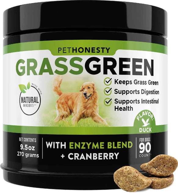 PetHonesty||Blue Buffalo PetHonesty GrassGreen Duck Flavored Soft Chew Digestive & Lawn Protection Supplement for Dogs + Blue Buffalo Life Protection Formula Adult Chicken & Brown Rice Recipe Dry Food 2 PetHonesty||Blue Buffalo PetHonesty GrassGreen Duck Flavored Soft Chew Digestive & Lawn Protection Supplement for Dogs + Blue Buffalo Life Protection Formula Adult Chicken & Brown Rice Recipe Dry Food - Image 2