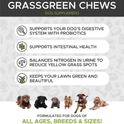PetHonesty||Blue Buffalo PetHonesty GrassGreen Duck Flavored Soft Chew Digestive & Lawn Protection Supplement for Dogs + Blue Buffalo Life Protection Formula Adult Chicken & Brown Rice Recipe Dry Food 12 PetHonesty||Blue Buffalo PetHonesty GrassGreen Duck Flavored Soft Chew Digestive & Lawn Protection Supplement for Dogs + Blue Buffalo Life Protection Formula Adult Chicken & Brown Rice Recipe Dry Food -Cheap Blue Life Protection || Charming Pet || Cobalt Aquatics Store 365446 PT3. SY630 V1644019311