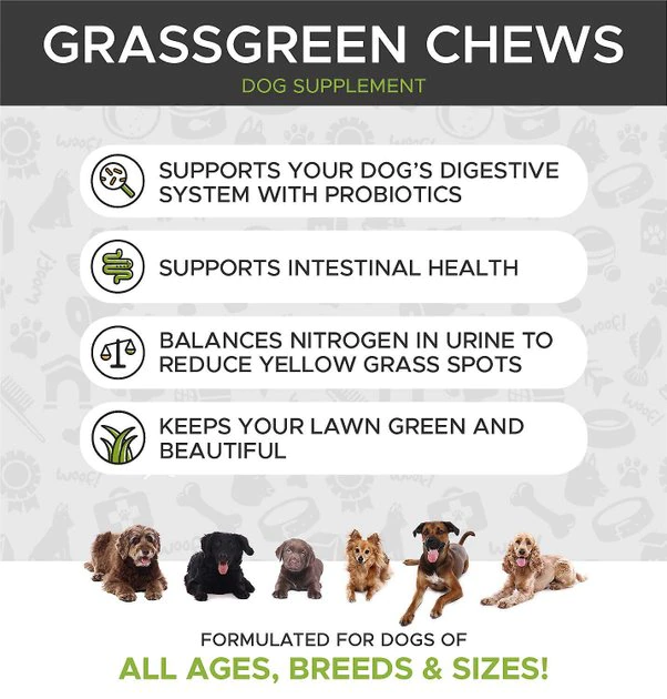 PetHonesty||Blue Buffalo PetHonesty GrassGreen Duck Flavored Soft Chew Digestive & Lawn Protection Supplement for Dogs + Blue Buffalo Life Protection Formula Adult Chicken & Brown Rice Recipe Dry Food 4 PetHonesty||Blue Buffalo PetHonesty GrassGreen Duck Flavored Soft Chew Digestive & Lawn Protection Supplement for Dogs + Blue Buffalo Life Protection Formula Adult Chicken & Brown Rice Recipe Dry Food - Image 4