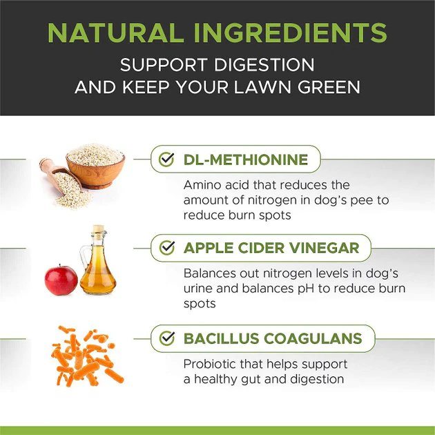 PetHonesty||Blue Buffalo PetHonesty GrassGreen Duck Flavored Soft Chew Digestive & Lawn Protection Supplement for Dogs + Blue Buffalo Life Protection Formula Adult Chicken & Brown Rice Recipe Dry Food 5 PetHonesty||Blue Buffalo PetHonesty GrassGreen Duck Flavored Soft Chew Digestive & Lawn Protection Supplement for Dogs + Blue Buffalo Life Protection Formula Adult Chicken & Brown Rice Recipe Dry Food - Image 5