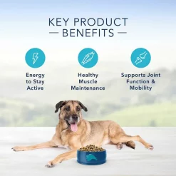 NaturVet||Blue Buffalo NaturVet VitaPet Senior Plus Glucosamine Soft Chews Multivitamin for Dogs + Blue Buffalo Life Protection Formula Senior Chicken & Brown Rice Recipe Dry Food -Cheap Blue Life Protection || Charming Pet || Cobalt Aquatics Store 365450 PT7. SY630 V1644016319