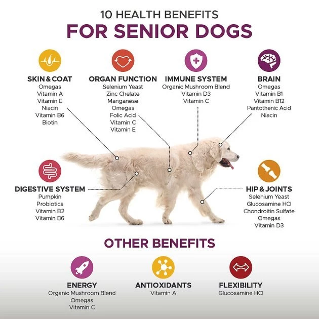 PetHonesty||Blue Buffalo PetHonesty Duck Flavored Soft Chews Multivitamin for Senior Dogs + Blue Buffalo Life Protection Formula Senior Chicken & Brown Rice Recipe Dry Food 5 PetHonesty||Blue Buffalo PetHonesty Duck Flavored Soft Chews Multivitamin for Senior Dogs + Blue Buffalo Life Protection Formula Senior Chicken & Brown Rice Recipe Dry Food - Image 5