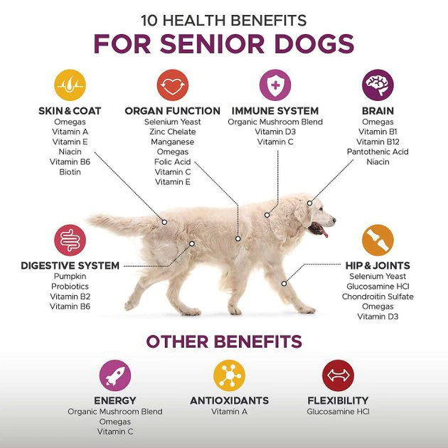 PetHonesty||Blue Buffalo PetHonesty Duck Flavored Soft Chews Multivitamin for Senior Dogs + Blue Buffalo Homestyle Recipe Senior Chicken Dinner with Garden Vegetables Canned Food 5 PetHonesty||Blue Buffalo PetHonesty Duck Flavored Soft Chews Multivitamin for Senior Dogs + Blue Buffalo Homestyle Recipe Senior Chicken Dinner with Garden Vegetables Canned Food - Image 5