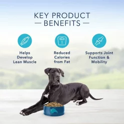 Blue Buffalo Life Protection Formula Large Breed Healthy Weight Adult Chicken & Brown Rice Recipe Dry Dog Food + True Solutions Fit & Healthy Weight Control Formula Wet Food -Cheap Blue Life Protection || Charming Pet || Cobalt Aquatics Store 367526 PT4. SY630 V1644451359