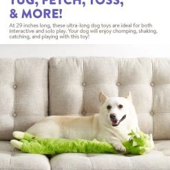 Charming Pet Longidudes Dino Plush & Squeaky Dog Tug Toy, Green -Cheap Blue Life Protection || Charming Pet || Cobalt Aquatics Store 368212 PT3. SY630 V1644529361