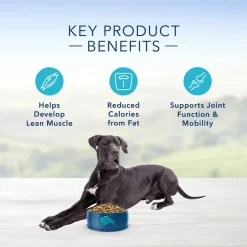 Blue Buffalo Life Protection Formula Large Breed Healthy Weight Adult Chicken & Brown Rice Recipe Dry Dog Food 13 Blue Buffalo Life Protection Formula Large Breed Healthy Weight Adult Chicken & Brown Rice Recipe Dry Dog Food -Cheap Blue Life Protection || Charming Pet || Cobalt Aquatics Store 46892 PT4. SY630 V1636150640
