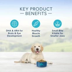 Blue Buffalo Life Protection Formula Puppy Chicken & Brown Rice Recipe Dry Dog Food -Cheap Blue Life Protection || Charming Pet || Cobalt Aquatics Store 46898 PT3. SY630 V1636145808